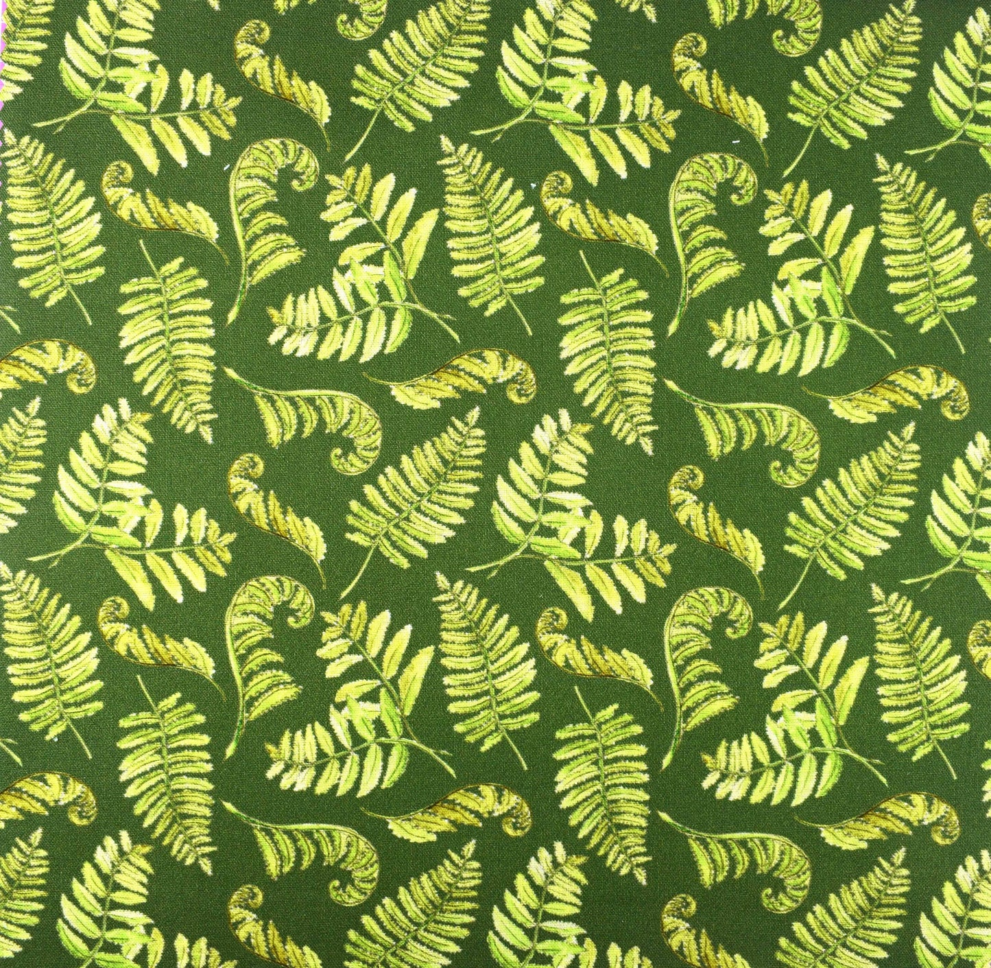 Country Walks by Debbie Shore, Organic Cotton Charm Pack - The Quilt Sanctuary