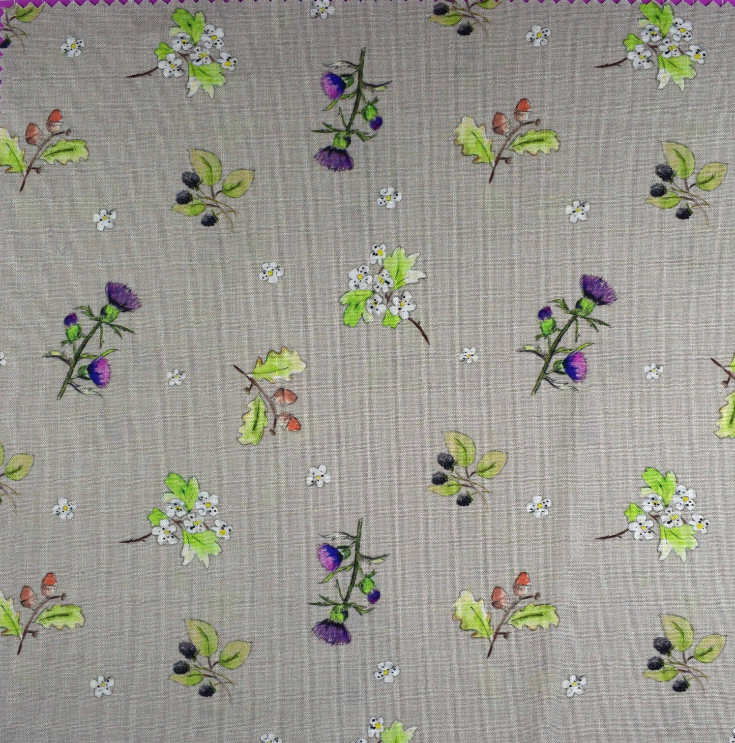 Country Walks by Debbie Shore, Organic Cotton Charm Pack - The Quilt Sanctuary