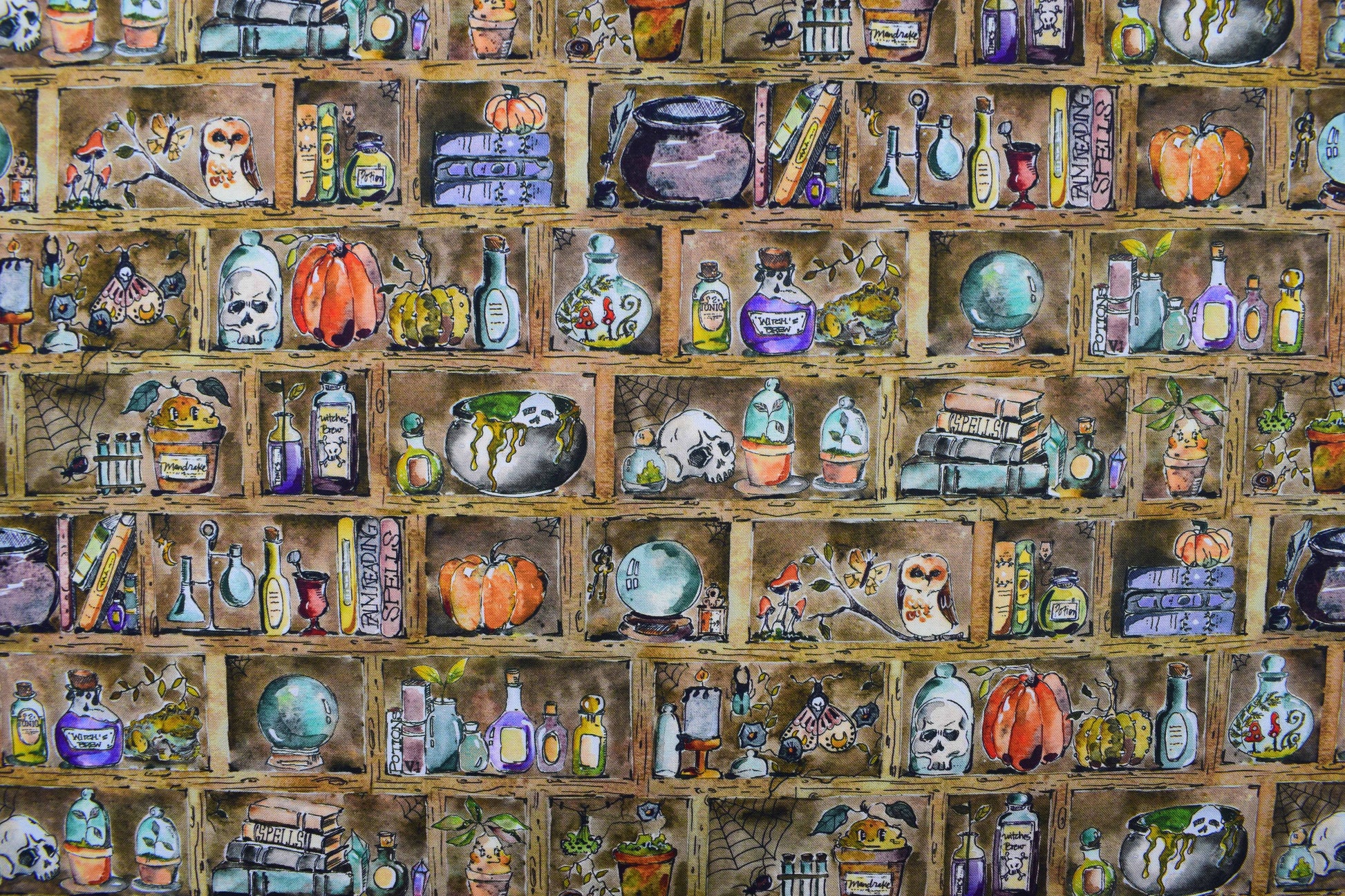Witch's Apothecary Shelf Halloween Cotton Quilting Fabric - Price per half Metre - The Quilt Sanctuary