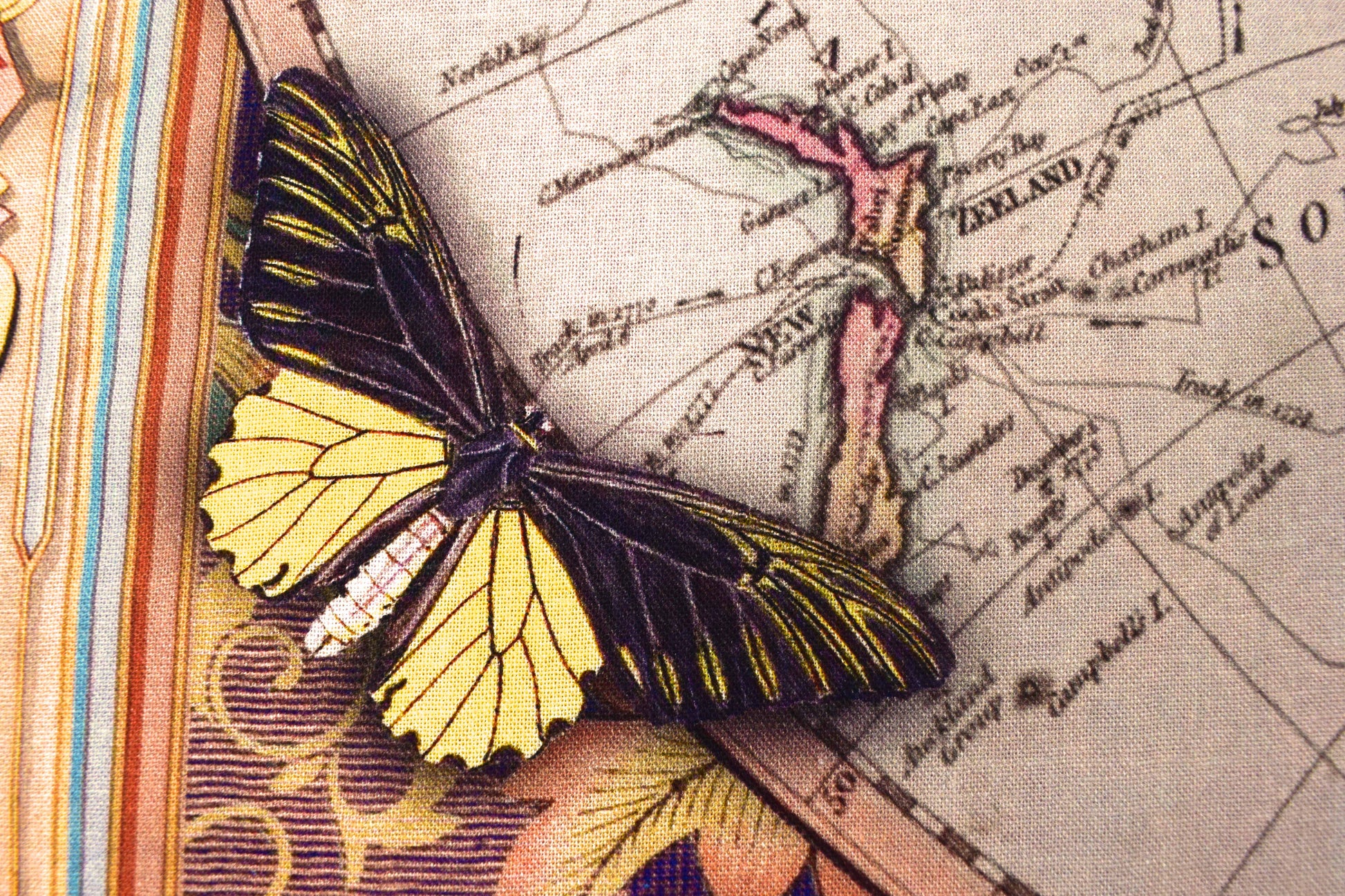 world map fabric, Quilting  panel, cotton fabric, Robert Kaufman, Library of Rarities - The Quilt Sanctuary