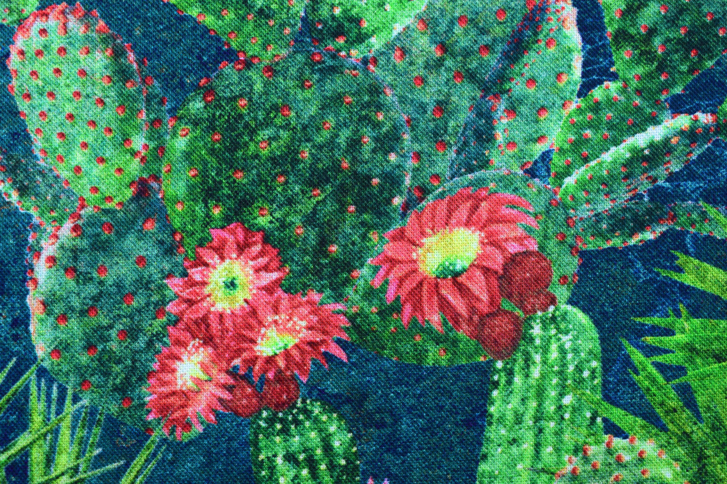 Packed Cactus Design Quilting Fabric - Sedona Spirit Range - Price by Half Metre