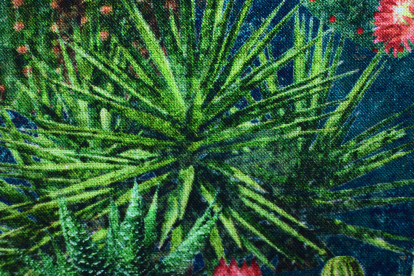 Packed Cactus Design Quilting Fabric - Sedona Spirit Range - Price by Half Metre
