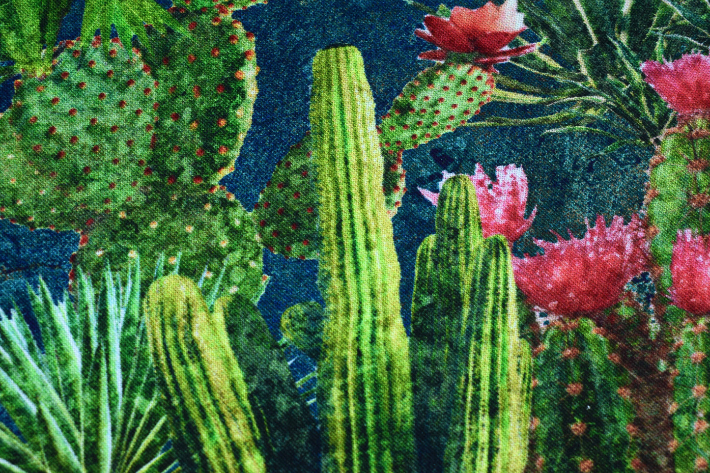 Packed Cactus Design Quilting Fabric - Sedona Spirit Range - Price by Half Metre