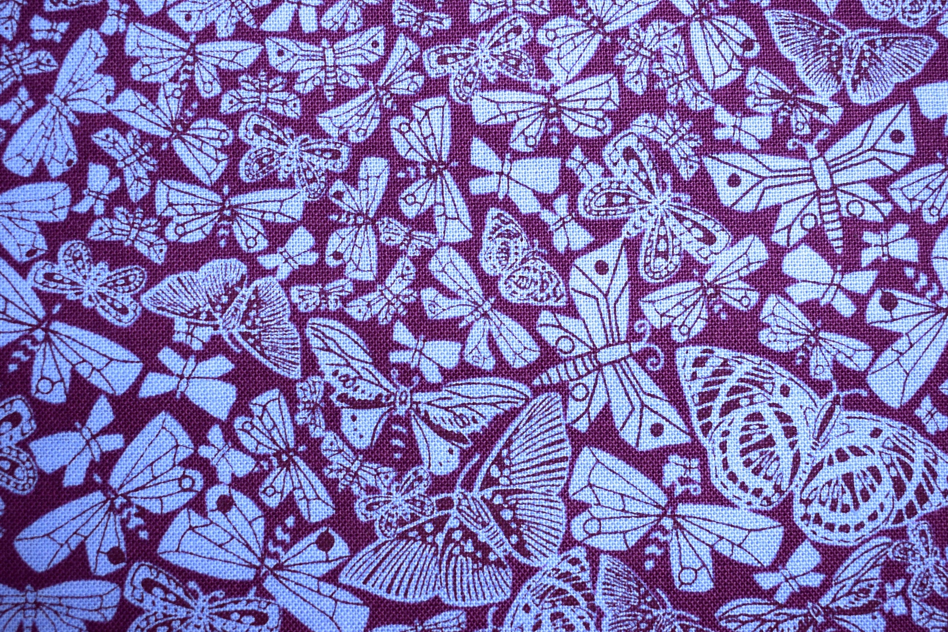 butterfly fabric, makower fabric, cotton fabric, quilting fabric, Price by the Half Metre The Quilt Sanctuary