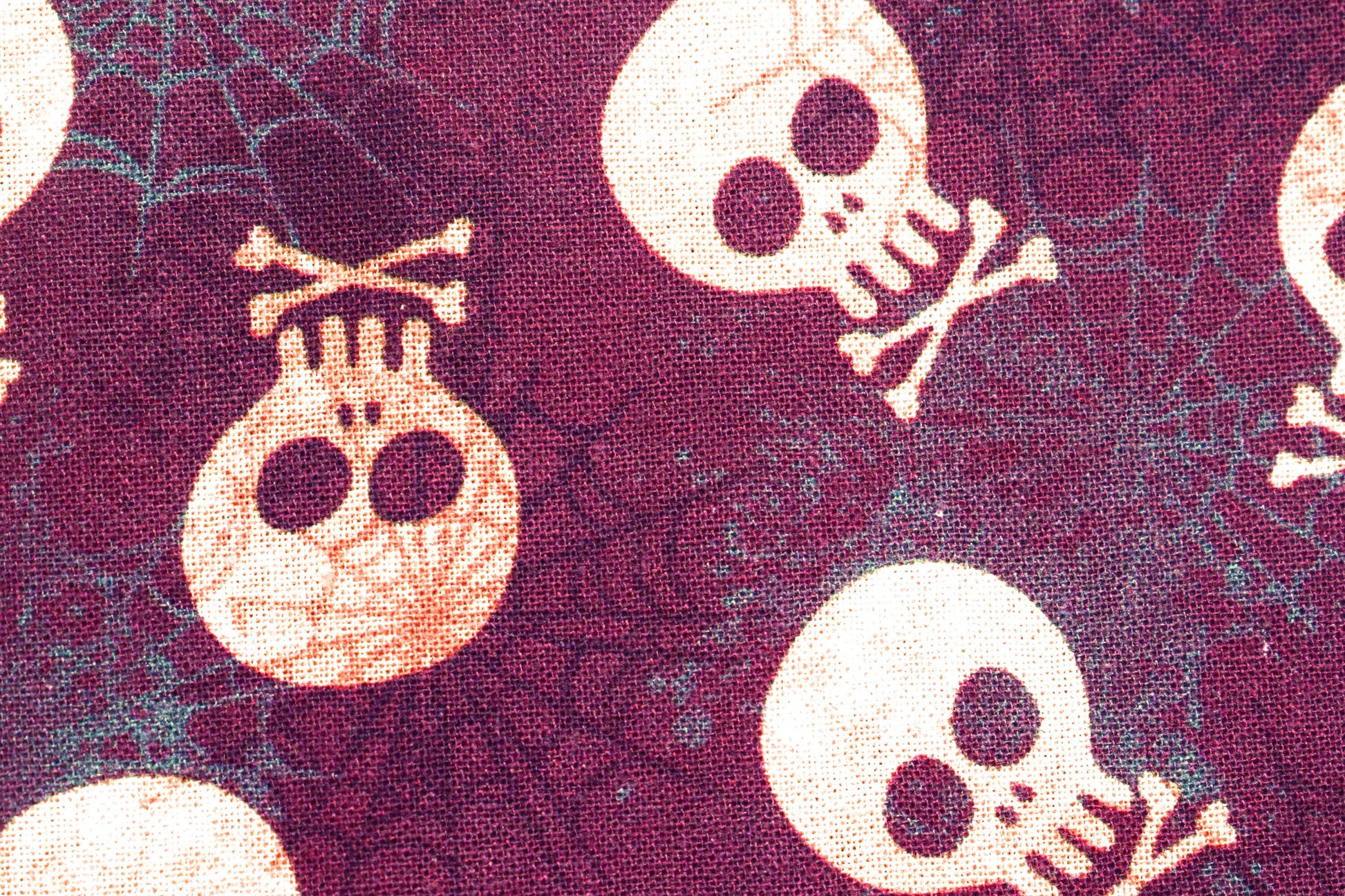skull fabric, halloween fabric, quilting fabric, skull and crossbones, cotton fabric, cobweb fabric, spooky fabric Price by the Half Metre The Quilt Sanctuary