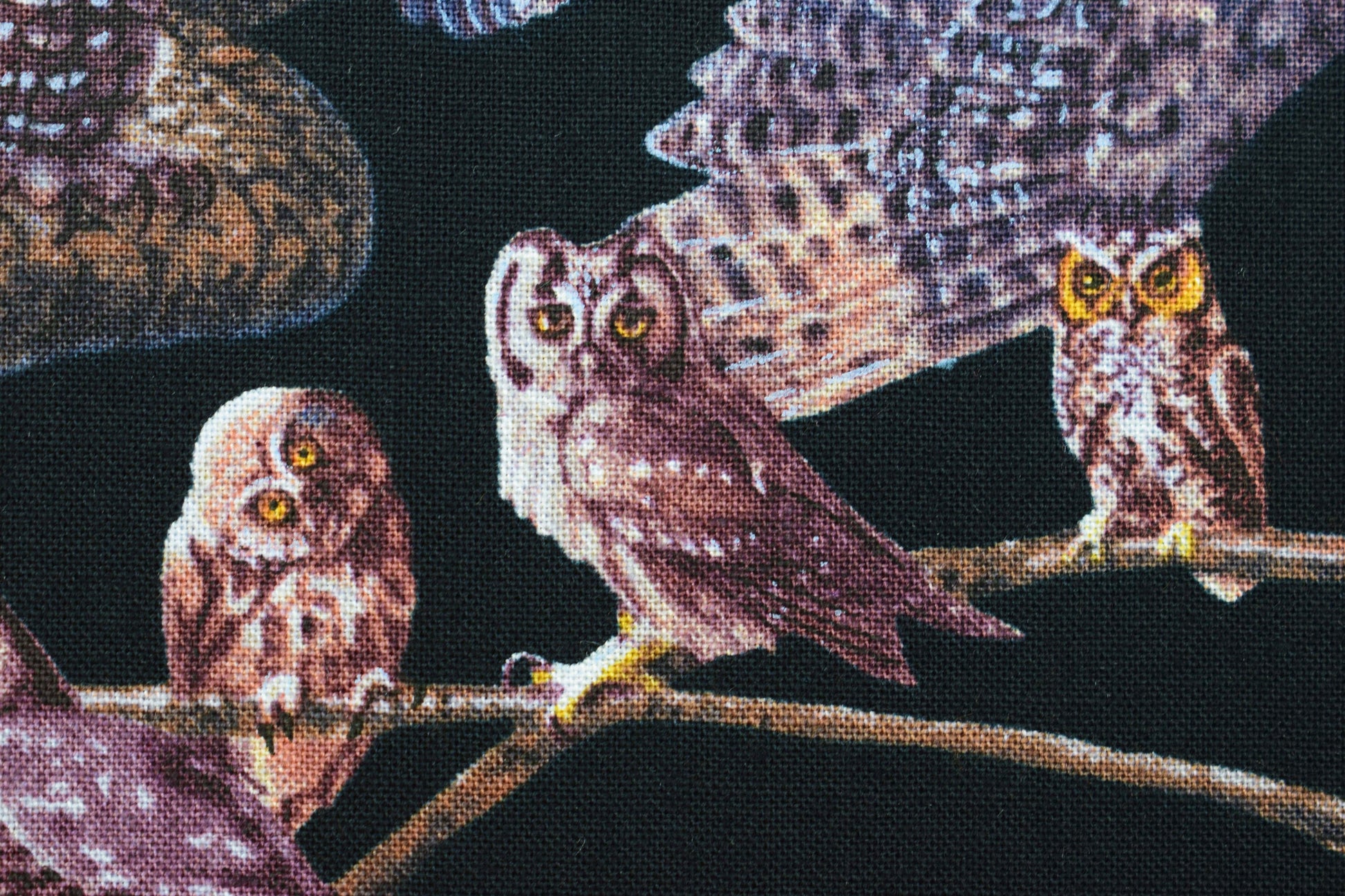 Owl Fabric, owls of North america, quilting fabric, Price by the Half Metre The Quilt Sanctuary