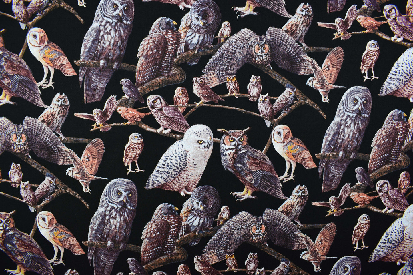 Owl Fabric, owls of North america, quilting fabric, Price by the Half Metre The Quilt Sanctuary