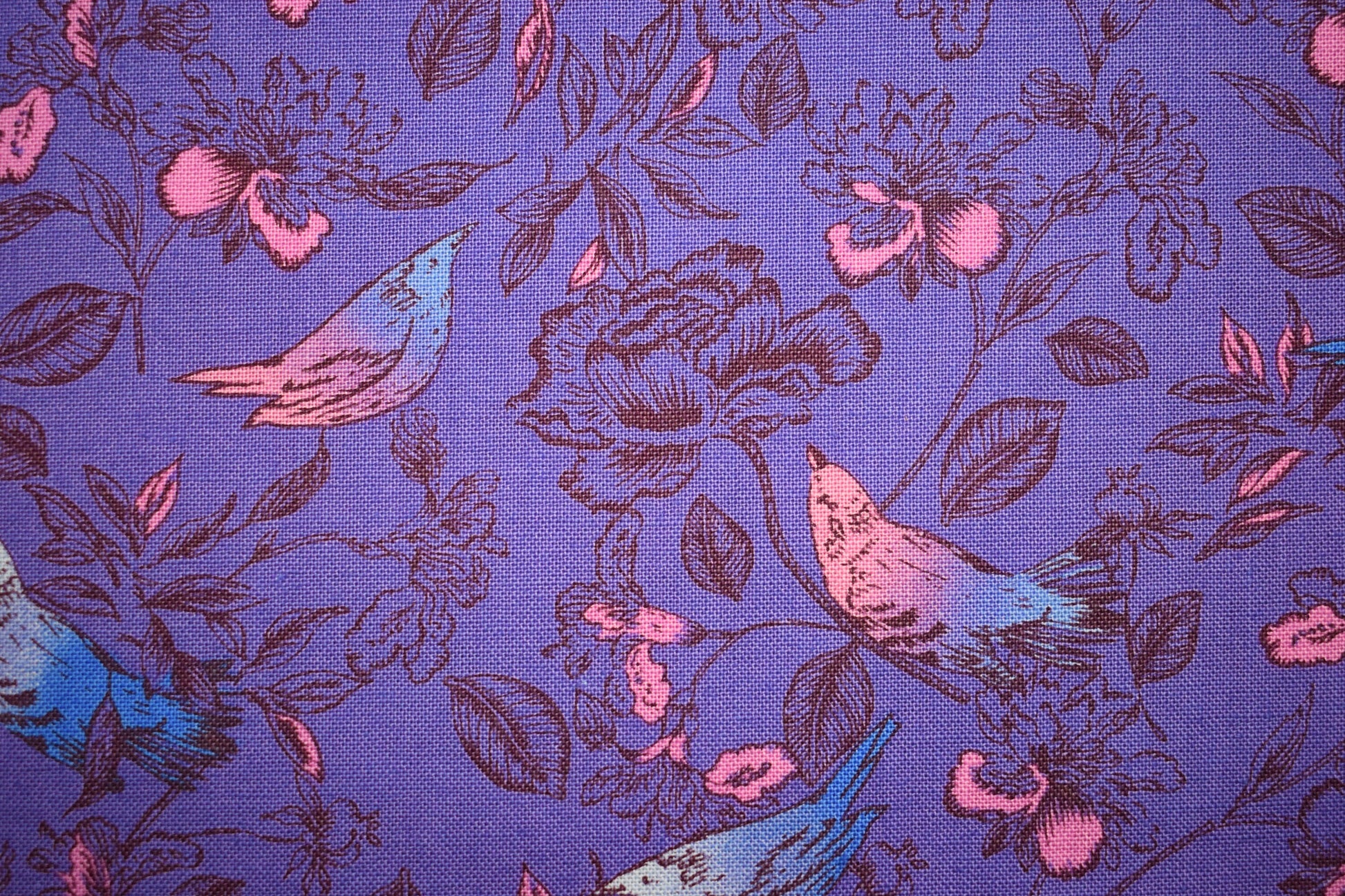 Forest creatures fabric, Quilting fabrics , cotton fabric, Makower fabrics The Quilt Sanctuary