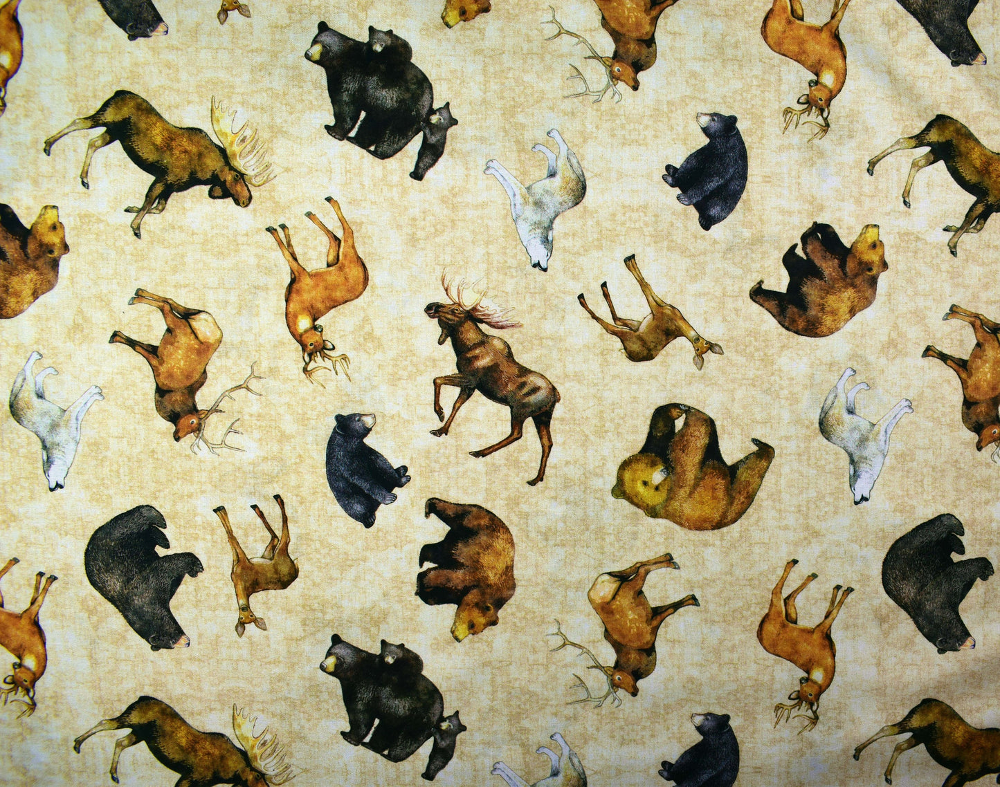 Grizzly bear fabric, Quilting fabric, cotton fabric, timberland trails - Price by the Half Metre The Quilt Sanctuary
