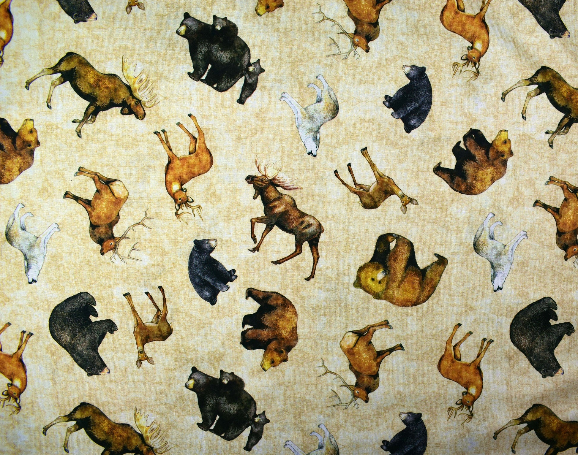Grizzly bear fabric, Quilting fabric, cotton fabric, timberland trails - Price by the Half Metre The Quilt Sanctuary