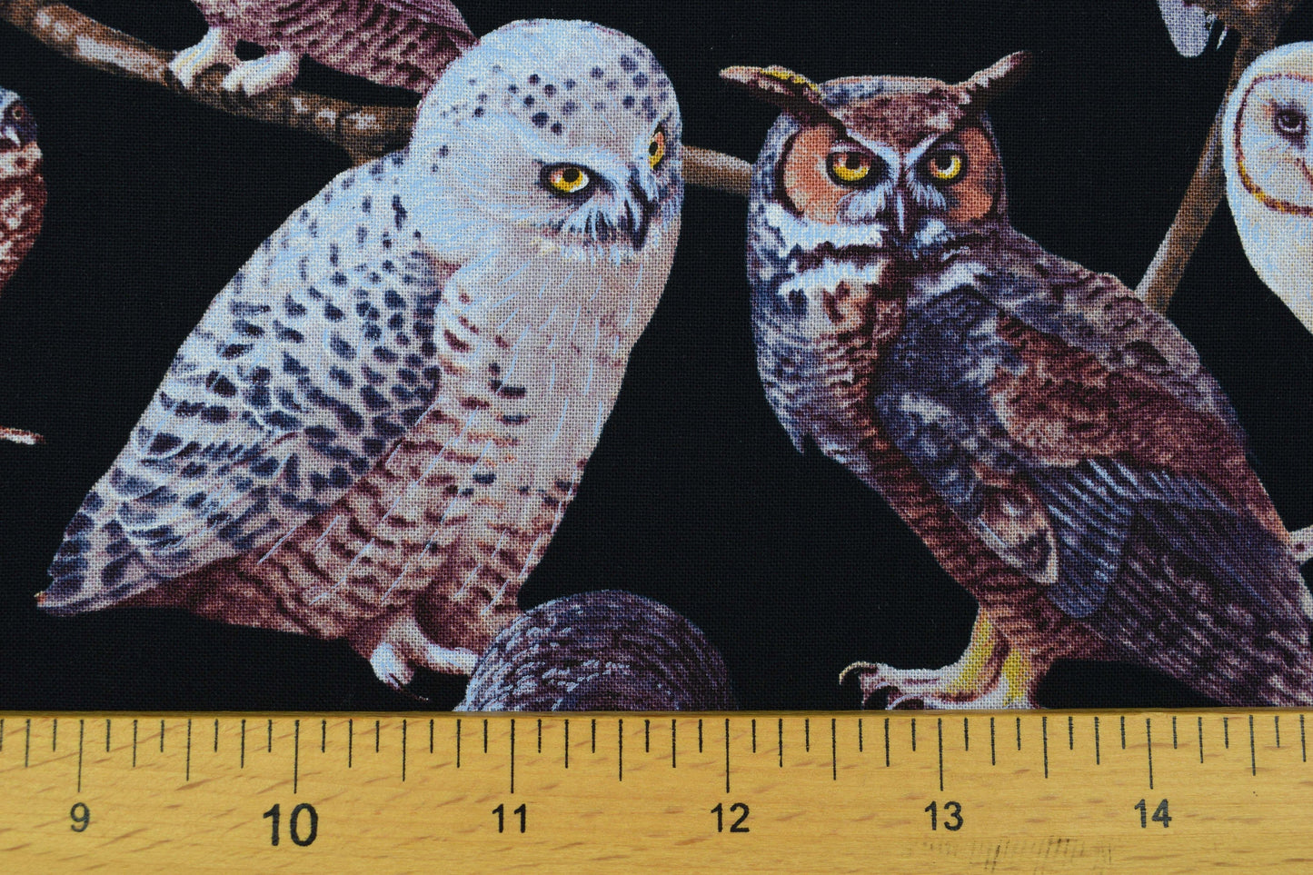 Owl Fabric, owls of North america, quilting fabric, Price by the Half Metre The Quilt Sanctuary
