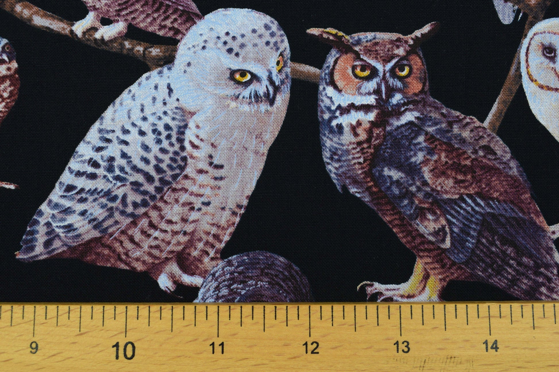 Owl Fabric, owls of North america, quilting fabric, Price by the Half Metre The Quilt Sanctuary
