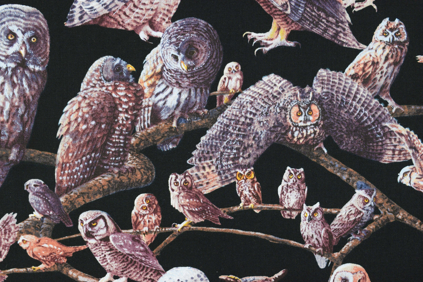 Owl Fabric, owls of North america, quilting fabric, Price by the Half Metre The Quilt Sanctuary
