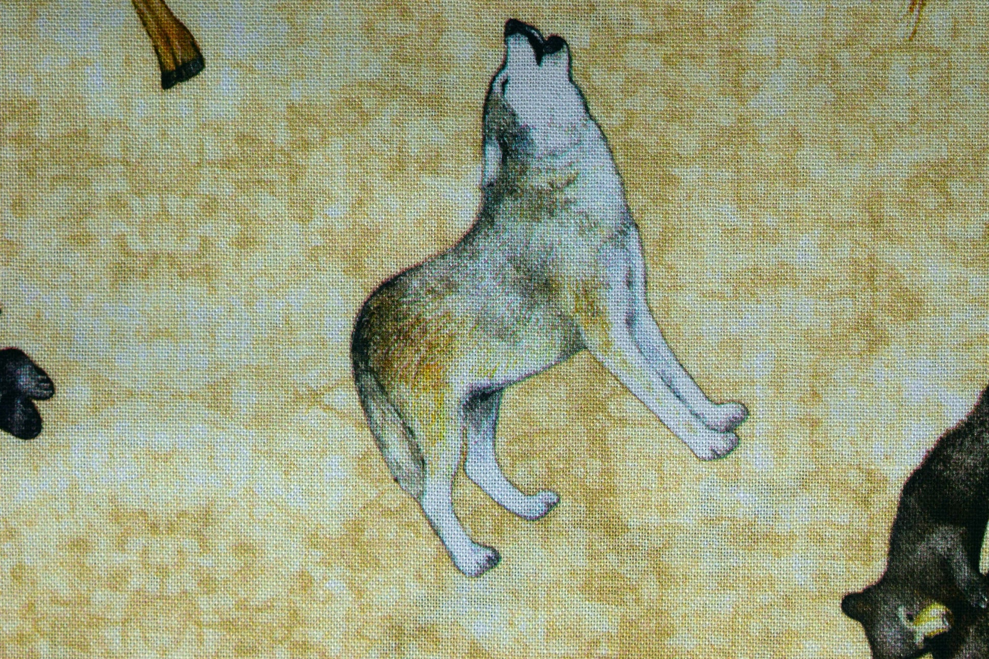 Grizzly bear fabric, Quilting fabric, cotton fabric, timberland trails - Price by the Half Metre The Quilt Sanctuary
