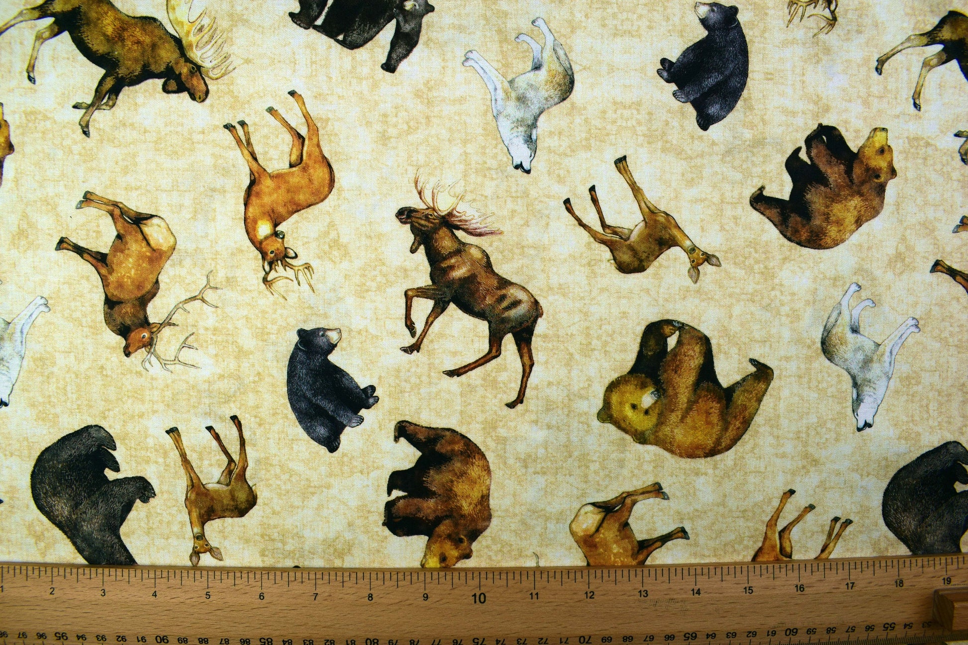 Grizzly bear fabric, Quilting fabric, cotton fabric, timberland trails - Price by the Half Metre The Quilt Sanctuary