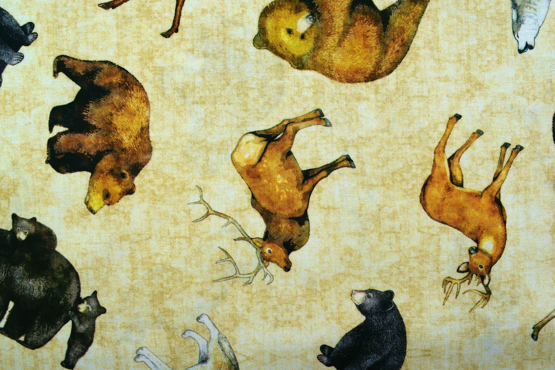 Grizzly bear fabric, Quilting fabric, cotton fabric, timberland trails - Price by the Half Metre The Quilt Sanctuary