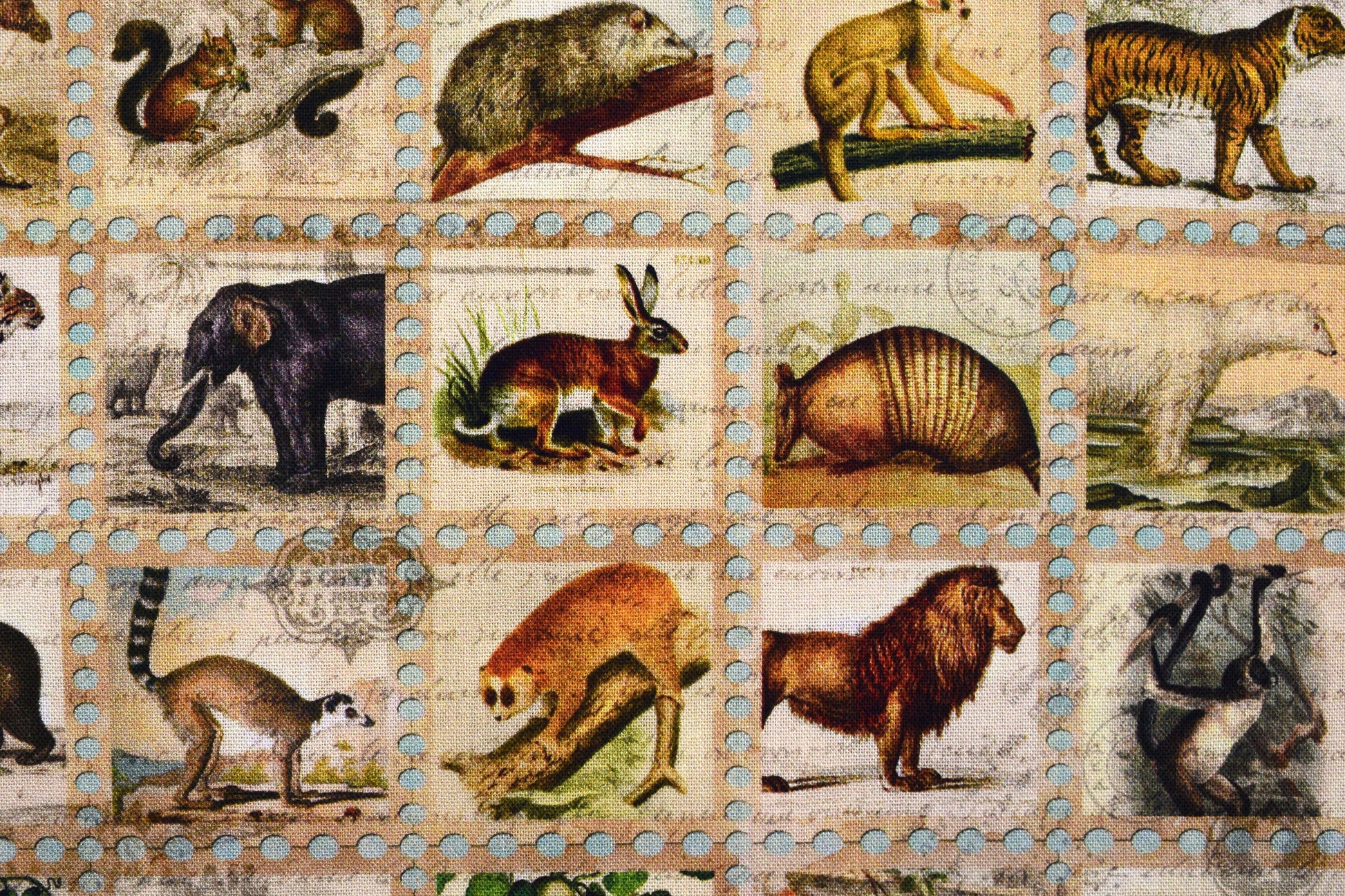 Animal stamp fabric, quilting fabric, Library of Rarities robert Kaufman, Price by the Half Metre The Quilt Sanctuary