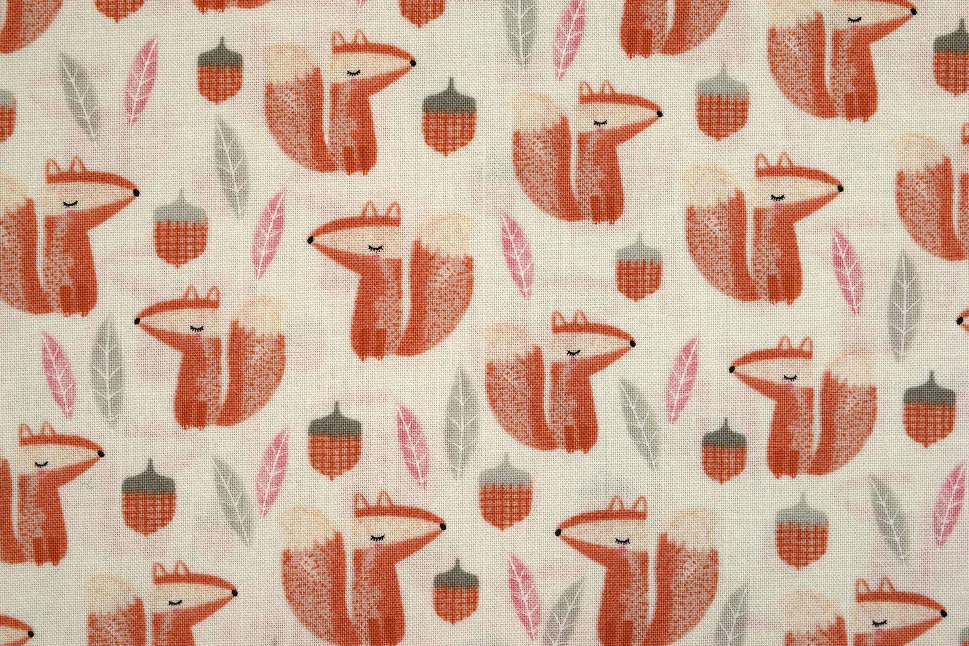Squirrel fabric, Quilting fabric, cotton fabric, timeless Treasures - Price by the Half Metre The Quilt Sanctuary