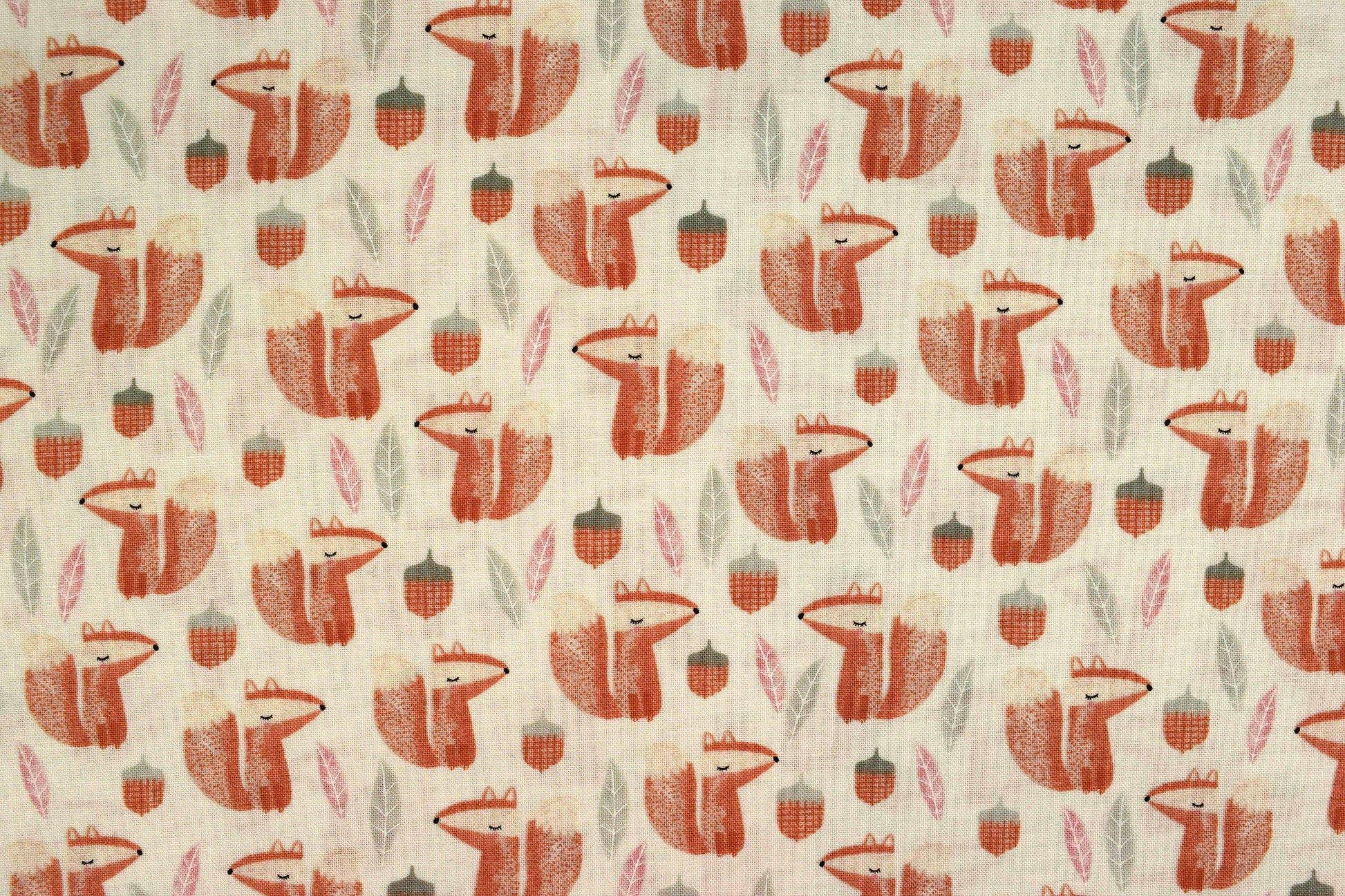 Squirrel fabric, Quilting fabric, cotton fabric, timeless Treasures - Price by the Half Metre The Quilt Sanctuary