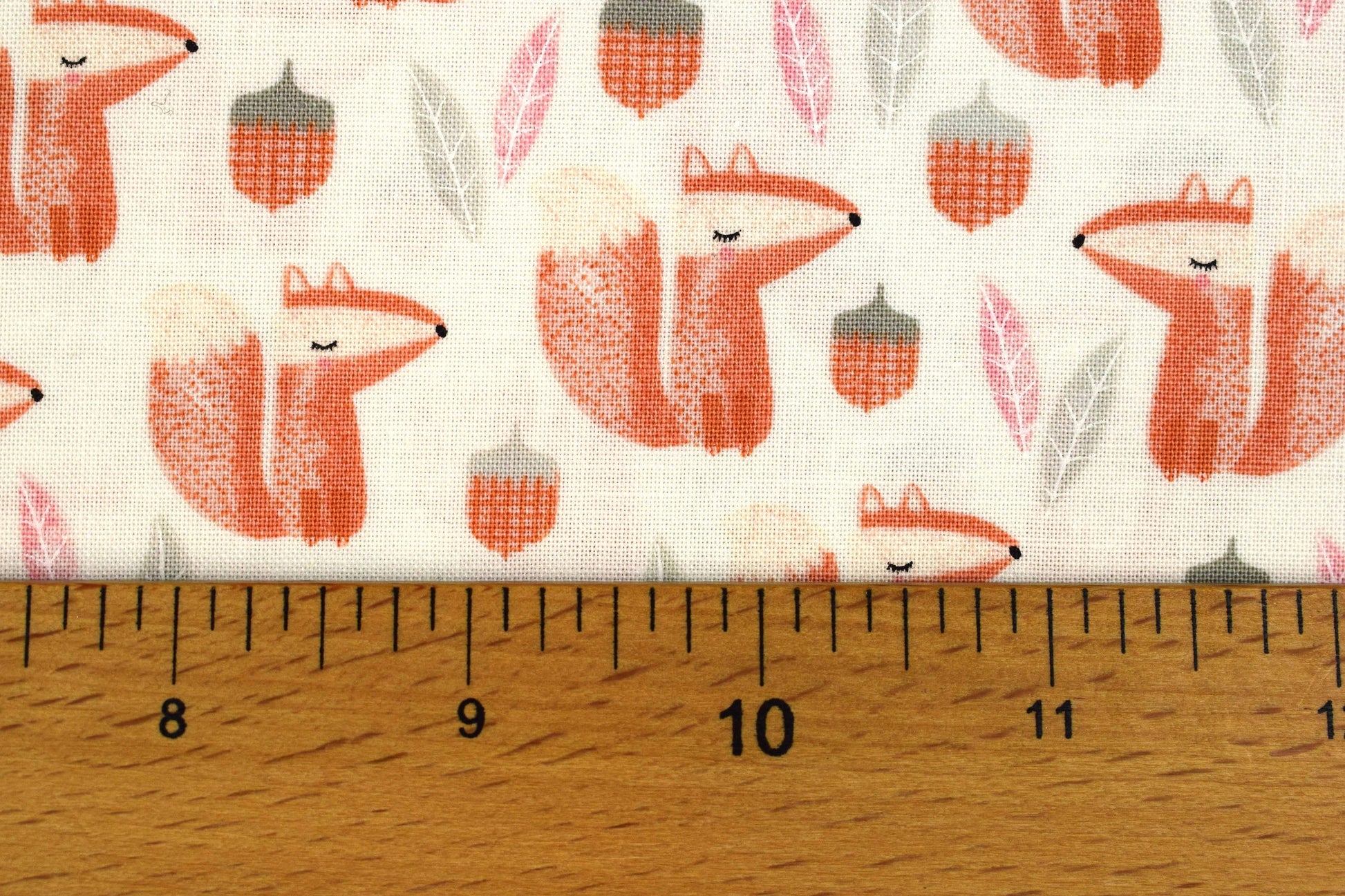Squirrel fabric, Quilting fabric, cotton fabric, timeless Treasures - Price by the Half Metre The Quilt Sanctuary