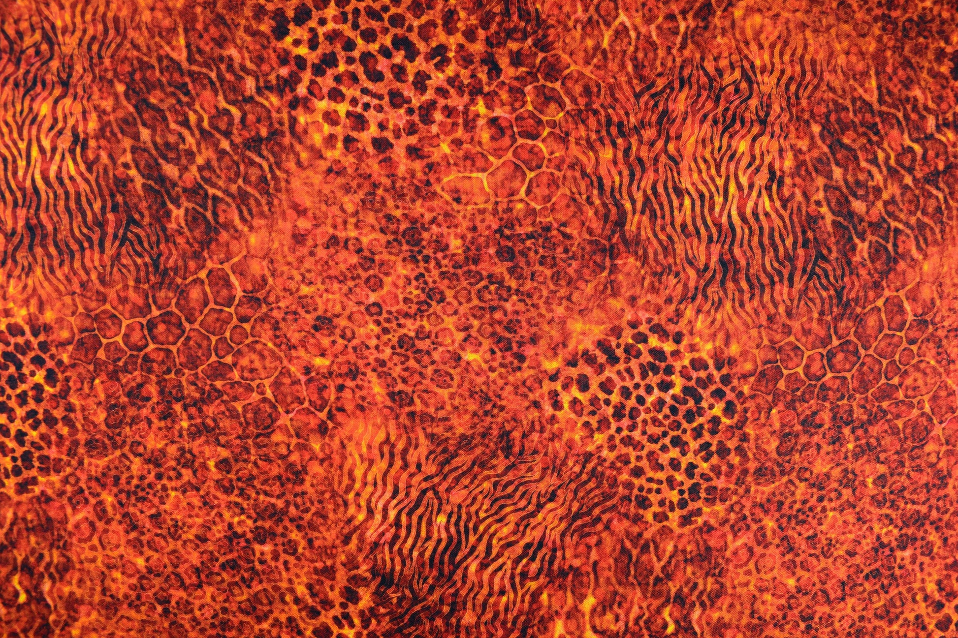 Burnt orange animal print fabric, Quilting fabric, cotton fabric, quilting treasures, Serengeti, Price by the Half Metre The Quilt Sanctuary