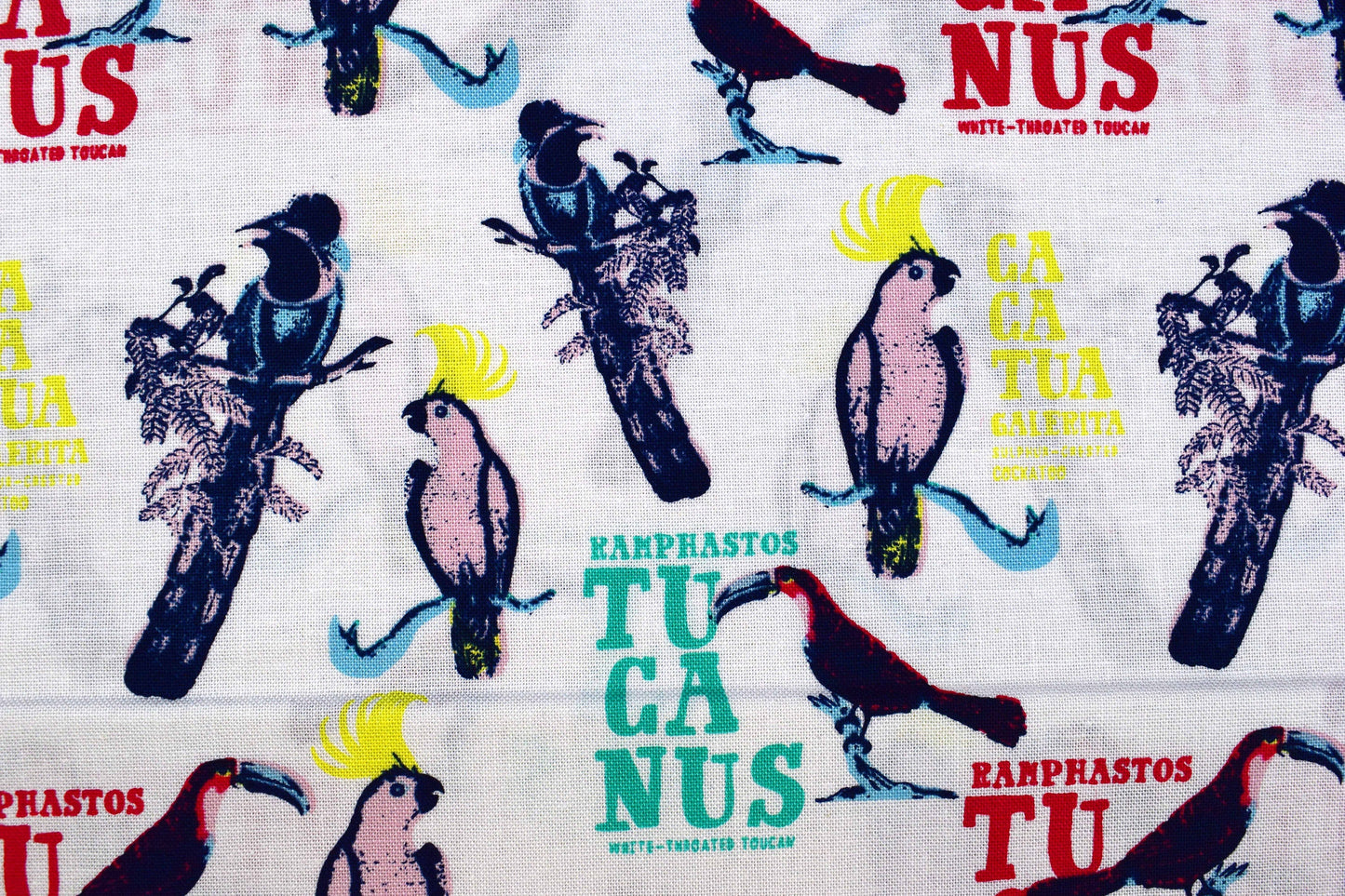 Toucan Fabric, birds of paradise cotton quilting fabric, Explore the tropics - Price by the Half Metre The Quilt Sanctuary