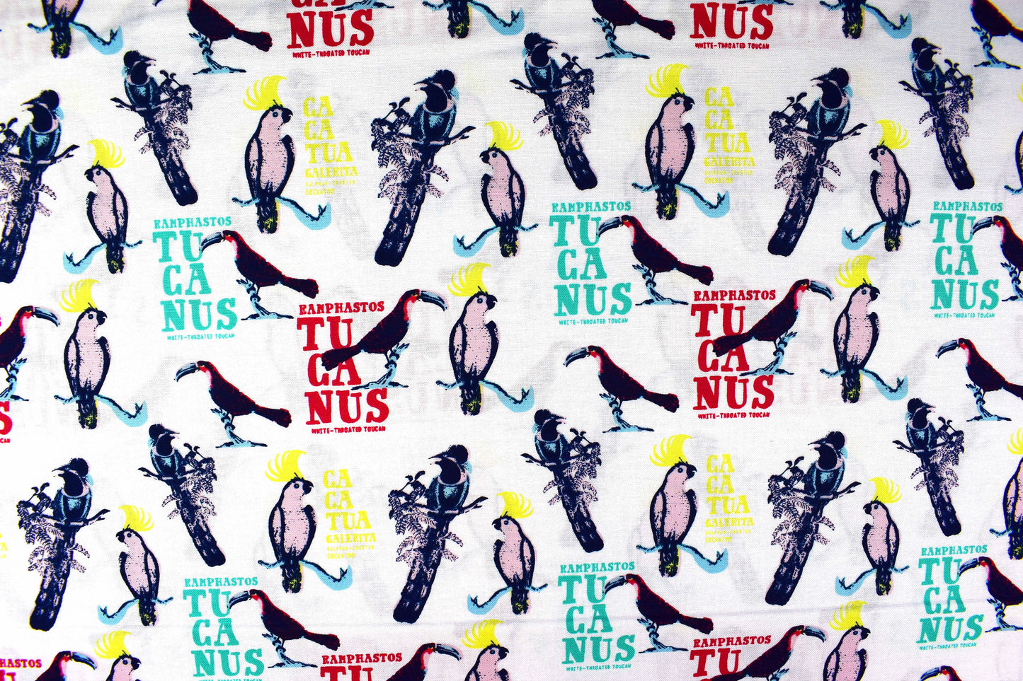 Toucan Fabric, birds of paradise cotton quilting fabric, Explore the tropics - Price by the Half Metre The Quilt Sanctuary