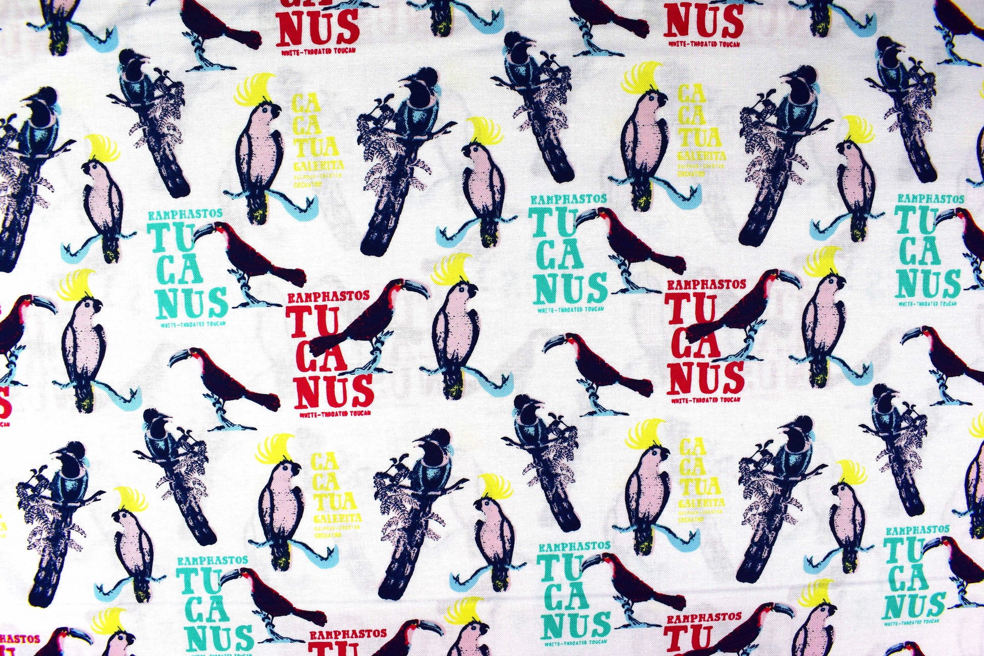 Toucan Fabric, birds of paradise cotton quilting fabric, Explore the tropics - Price by the Half Metre The Quilt Sanctuary
