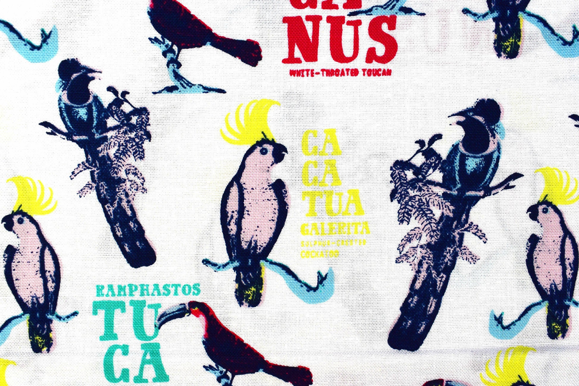 Toucan Fabric, birds of paradise cotton quilting fabric, Explore the tropics - Price by the Half Metre The Quilt Sanctuary