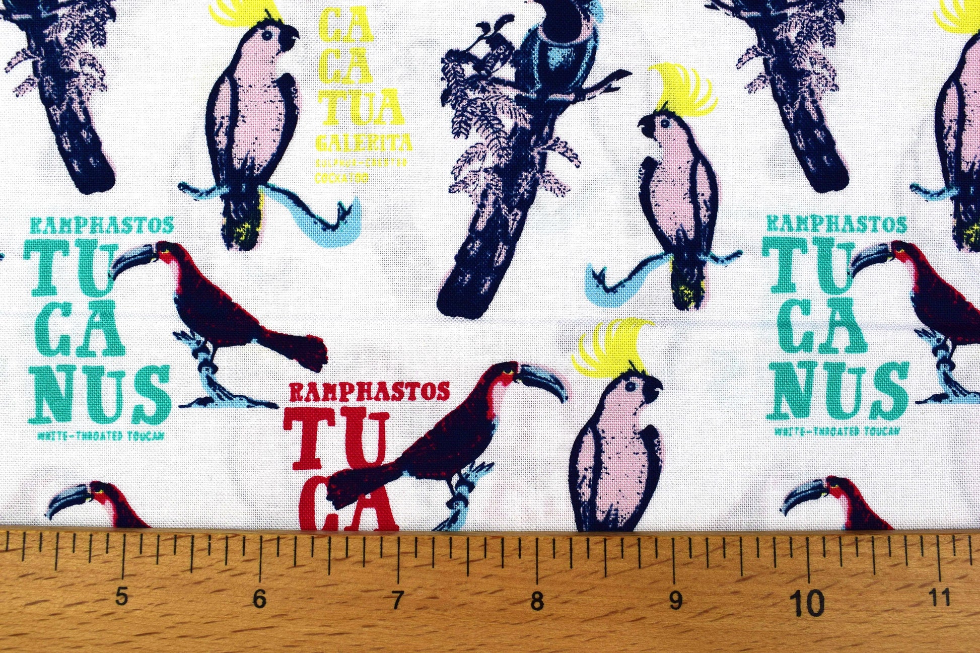 Toucan Fabric, birds of paradise cotton quilting fabric, Explore the tropics - Price by the Half Metre The Quilt Sanctuary