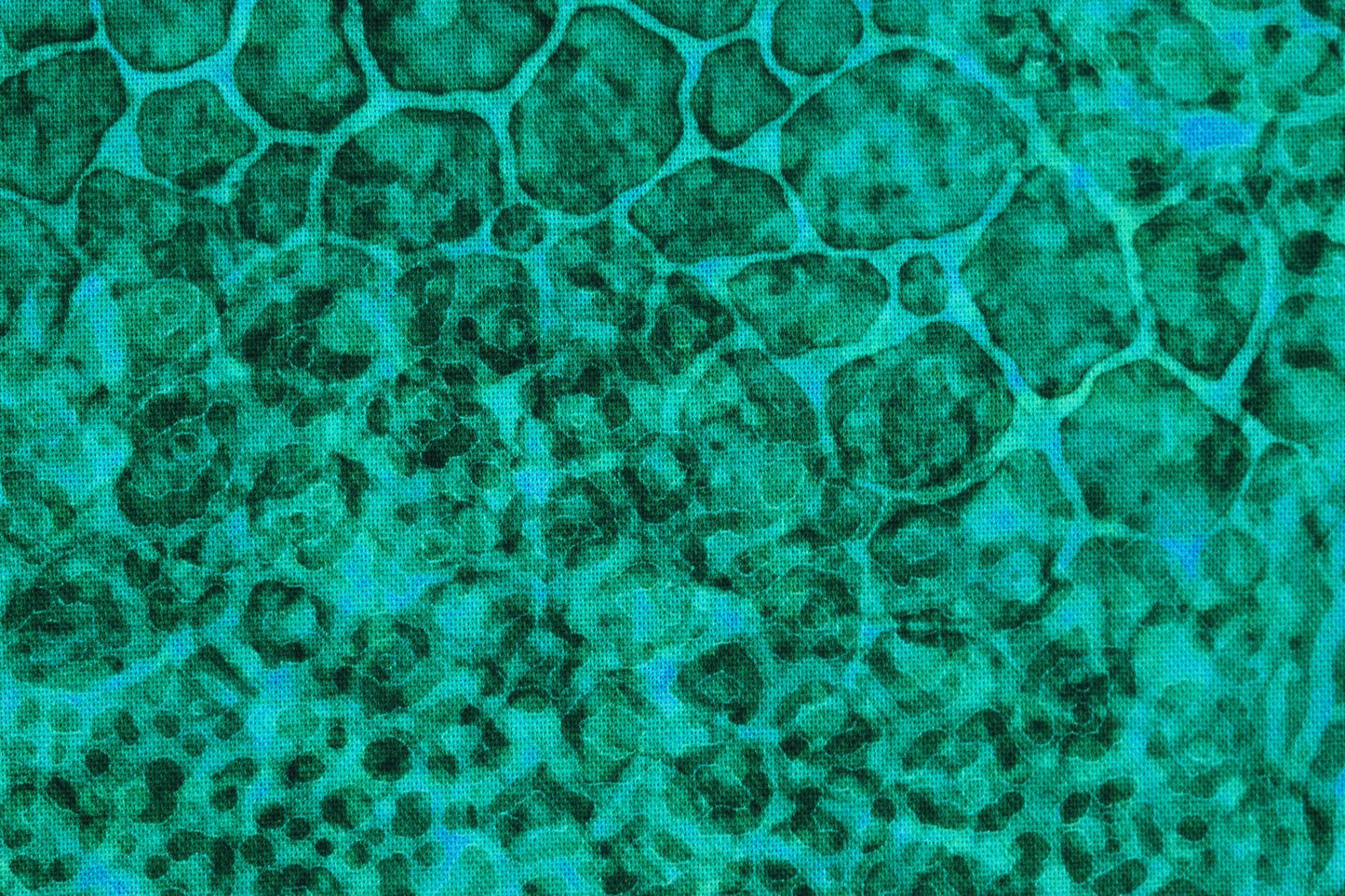 Green Animal print fabric, Quilting fabric, cotton fabric, quilting treasures, Serengeti, Price by the Half Metre The Quilt Sanctuary