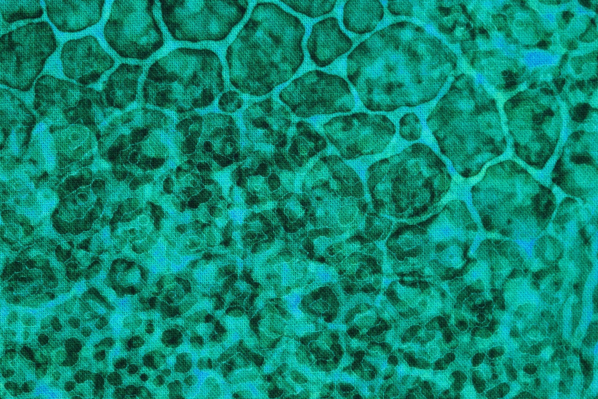 Green Animal print fabric, Quilting fabric, cotton fabric, quilting treasures, Serengeti, Price by the Half Metre The Quilt Sanctuary
