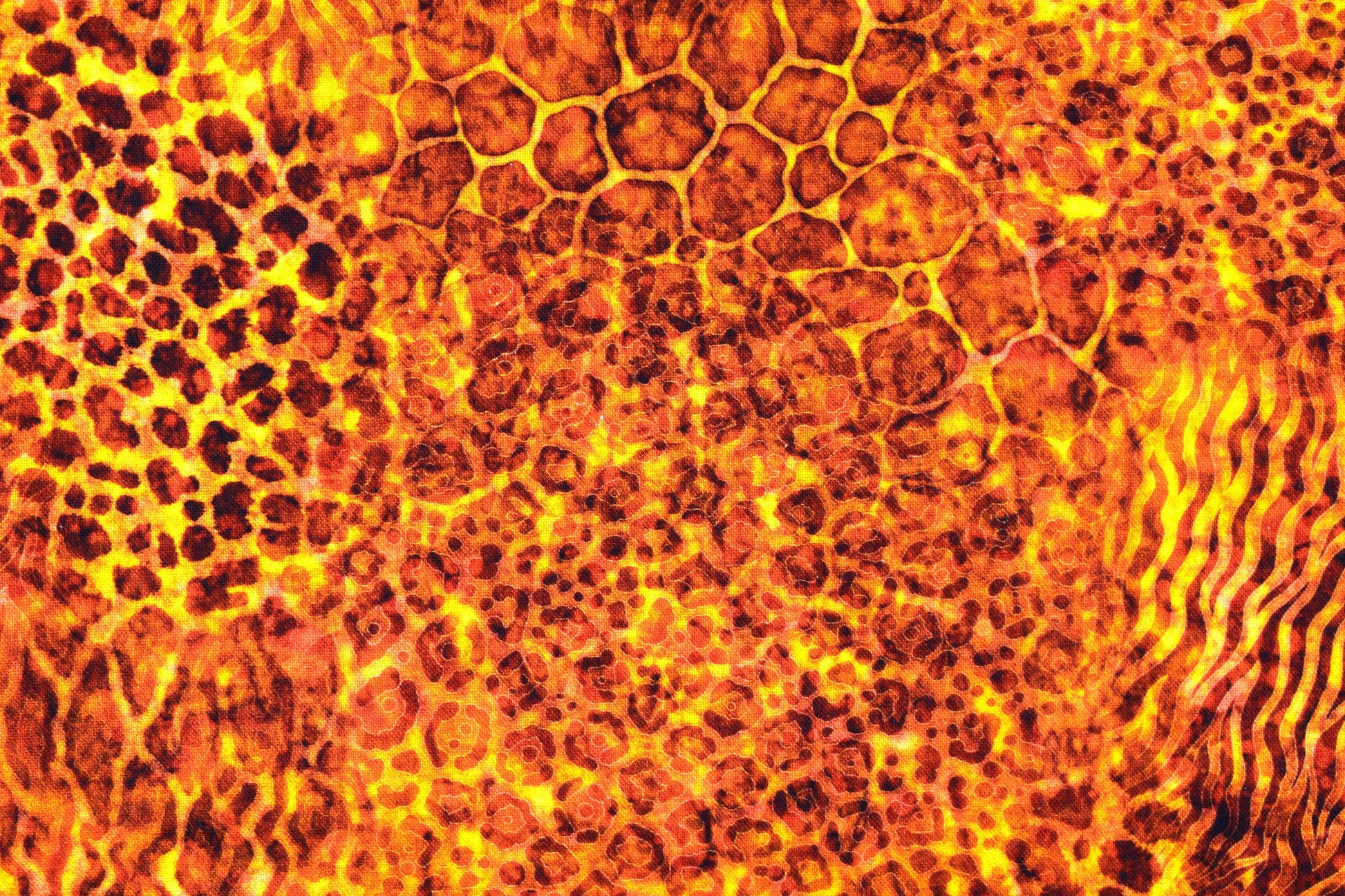 Animal print fabric, Quilting fabric, cotton fabric, quilting treasures, Serengeti, Price by the Half Metre The Quilt Sanctuary