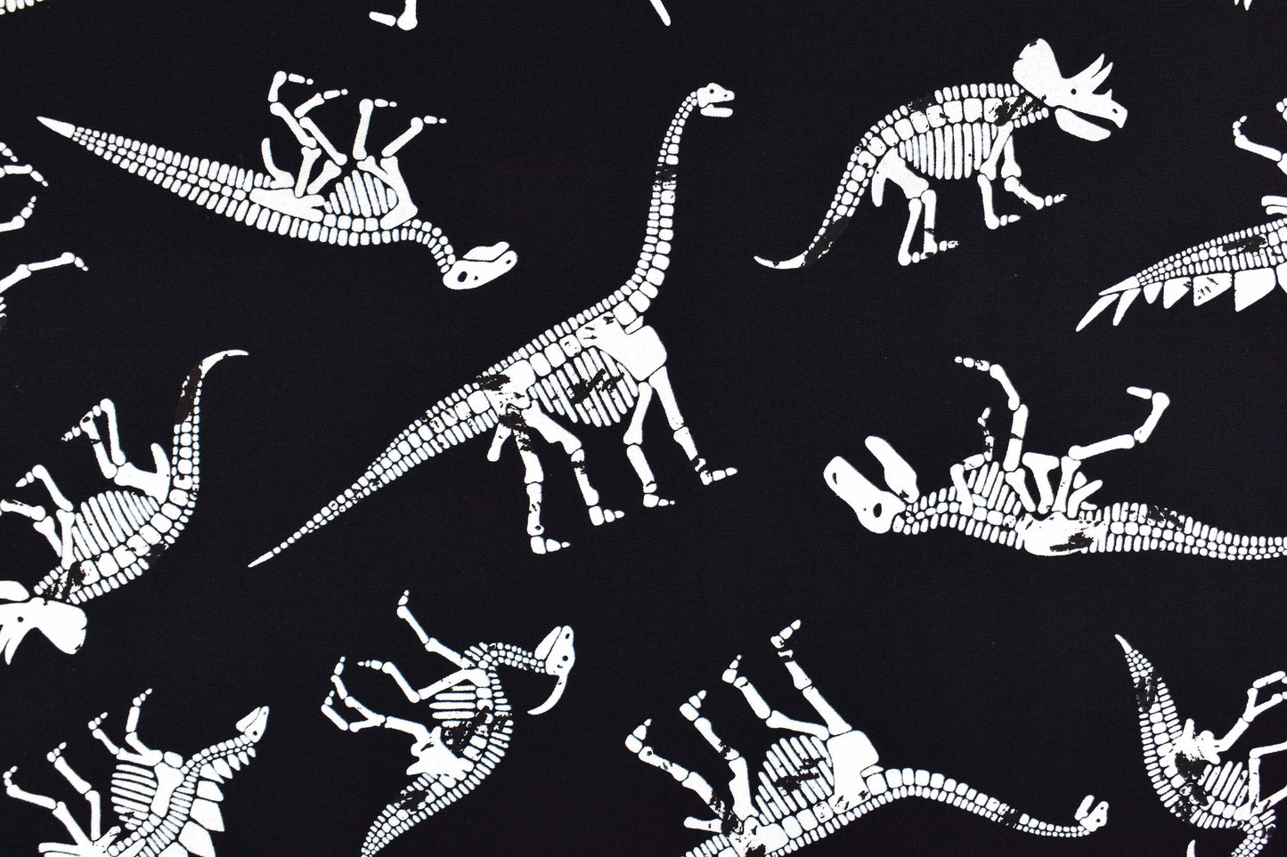 Glow in the dark dinosaur Fabric, Quilting fabric, cotton fabric, Dinosaur Bones Price by the Half Metre The Quilt Sanctuary