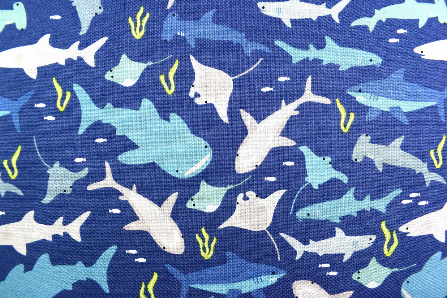 Shark fabric, Quilting fabric, cotton fabric, Riley Blake designs - Price by the Half Metre The Quilt Sanctuary