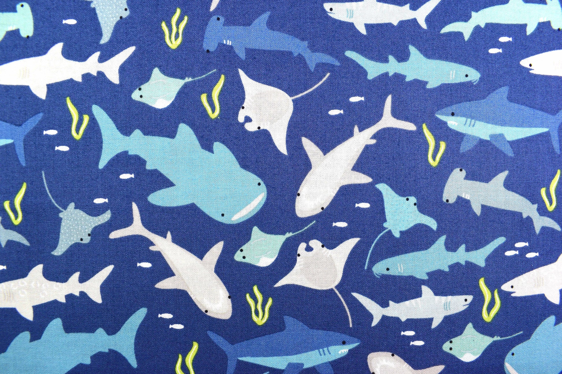 Shark fabric, Quilting fabric, cotton fabric, Riley Blake designs - Price by the Half Metre The Quilt Sanctuary