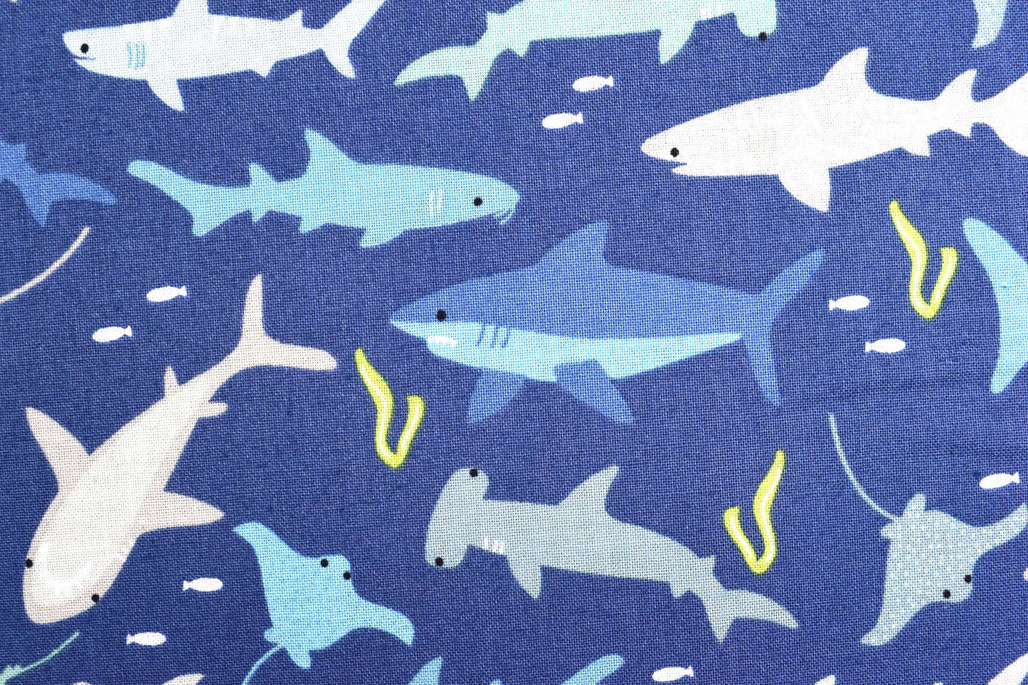Shark fabric, Quilting fabric, cotton fabric, Riley Blake designs - Price by the Half Metre The Quilt Sanctuary