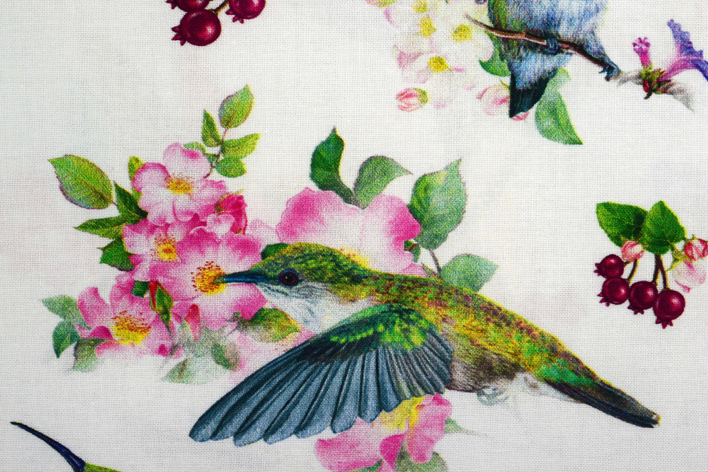 Hummingbird fabric , Quilting fabric, cotton fabric, Hummingbird Garden- Price by the Half Metre The Quilt Sanctuary