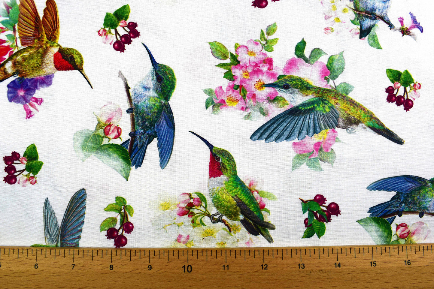 Hummingbird fabric , Quilting fabric, cotton fabric, Hummingbird Garden- Price by the Half Metre The Quilt Sanctuary