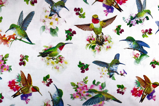 Hummingbird fabric , Quilting fabric, cotton fabric, Hummingbird Garden- Price by the Half Metre The Quilt Sanctuary