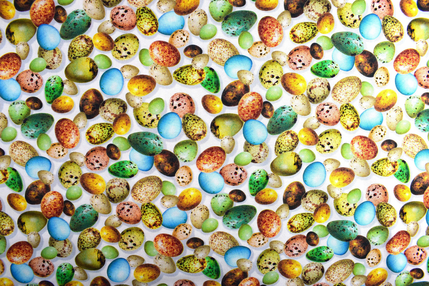 Birds eggs fabric , Quilting fabric, cotton fabric, Hummingbird Garden- Price by the Half Metre The Quilt Sanctuary
