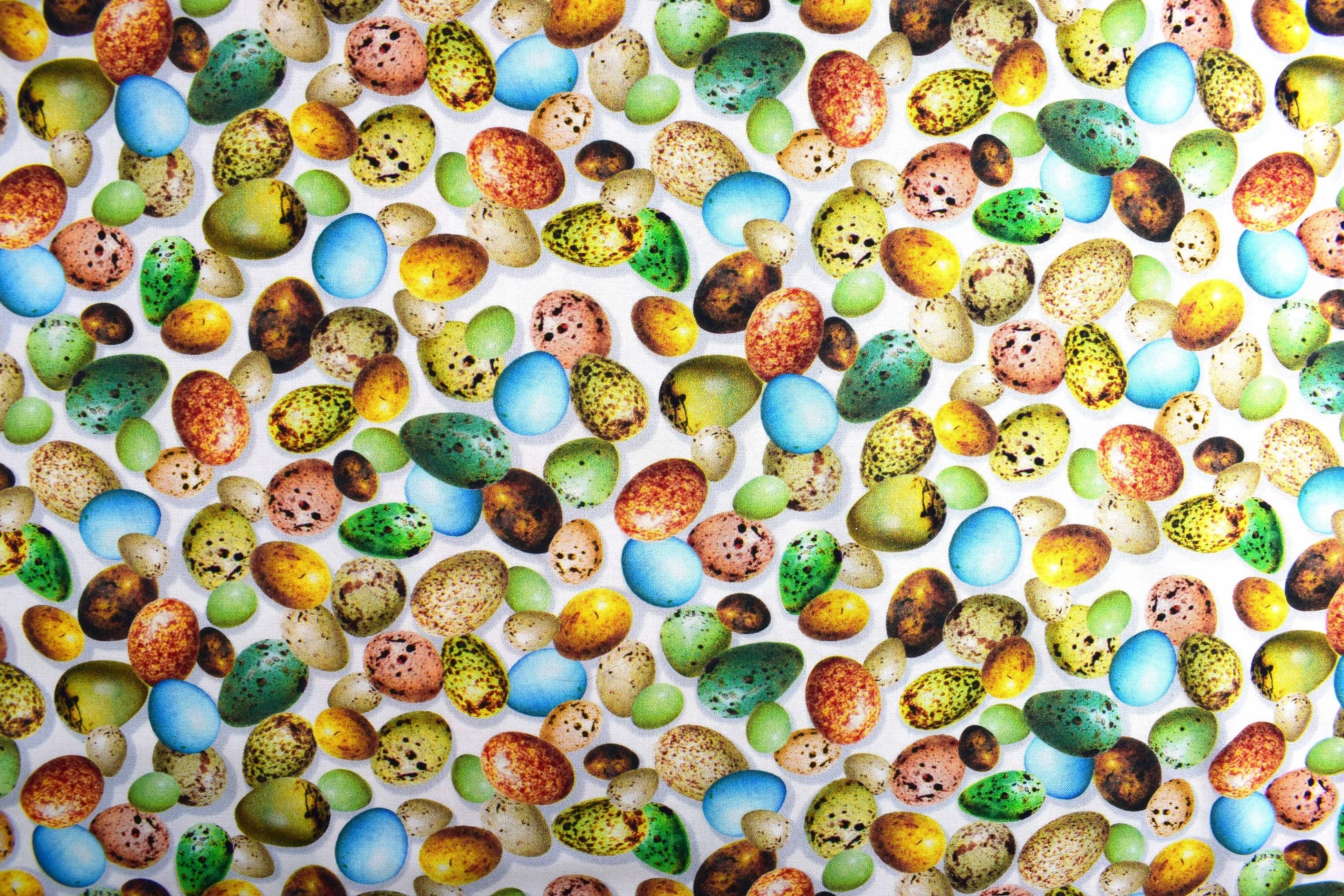 Birds eggs fabric , Quilting fabric, cotton fabric, Hummingbird Garden- Price by the Half Metre The Quilt Sanctuary