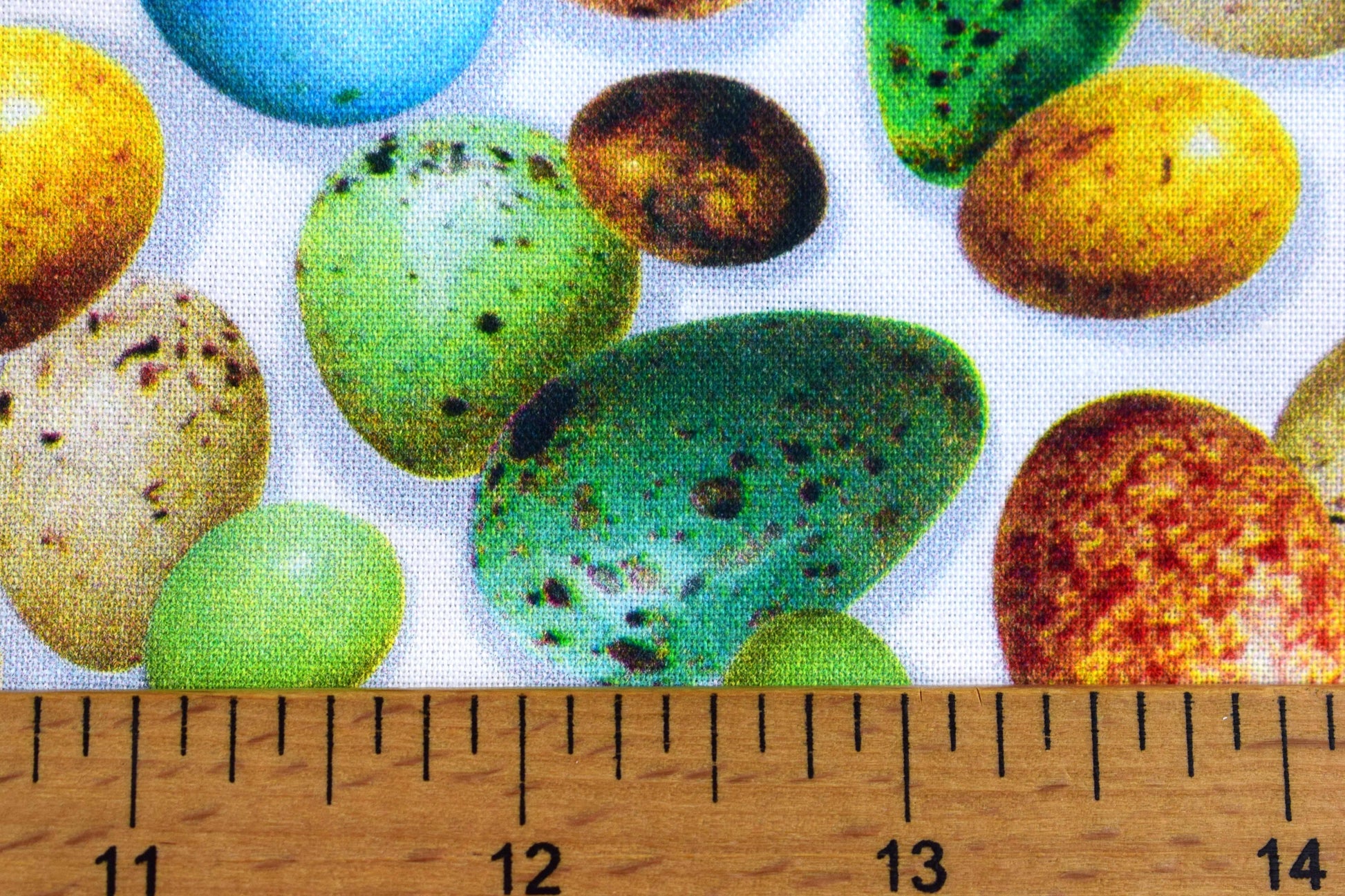 Birds eggs fabric , Quilting fabric, cotton fabric, Hummingbird Garden- Price by the Half Metre The Quilt Sanctuary