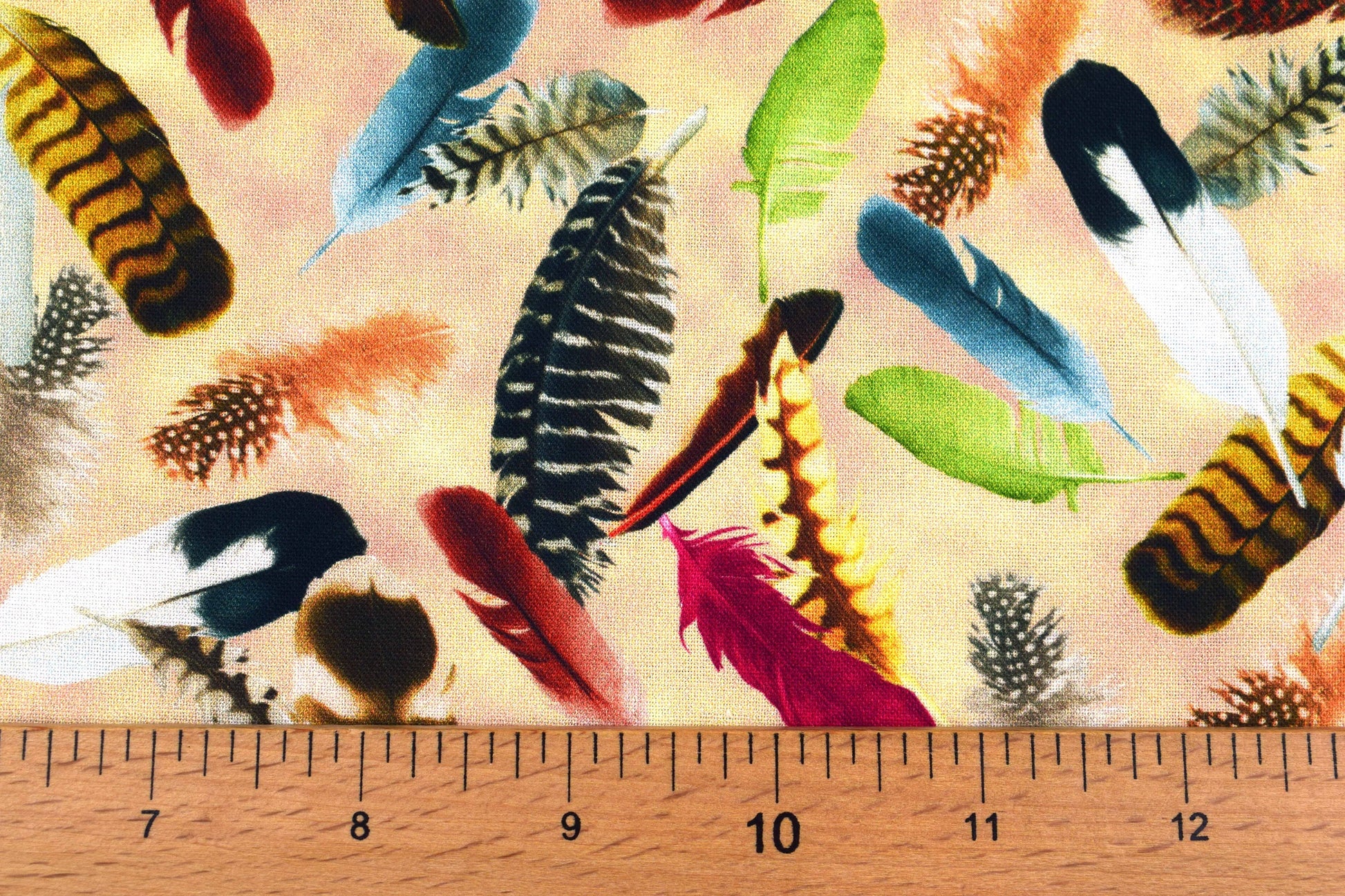 Feathers fabric, bird feathers, Quilting fabric, cotton fabric, Hummingbird Garden - Price by the Half Metre The Quilt Sanctuary