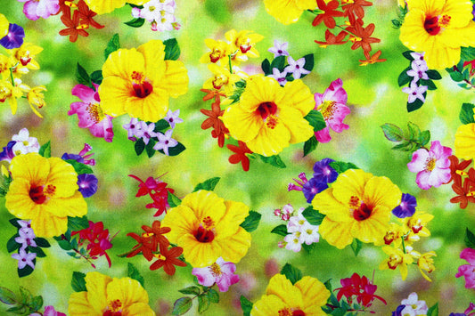 Hibiscus fabric, yellow floral fabric, quilting fabric, cotton fabric, wildflower farm - Price by the Half Metre The Quilt Sanctuary