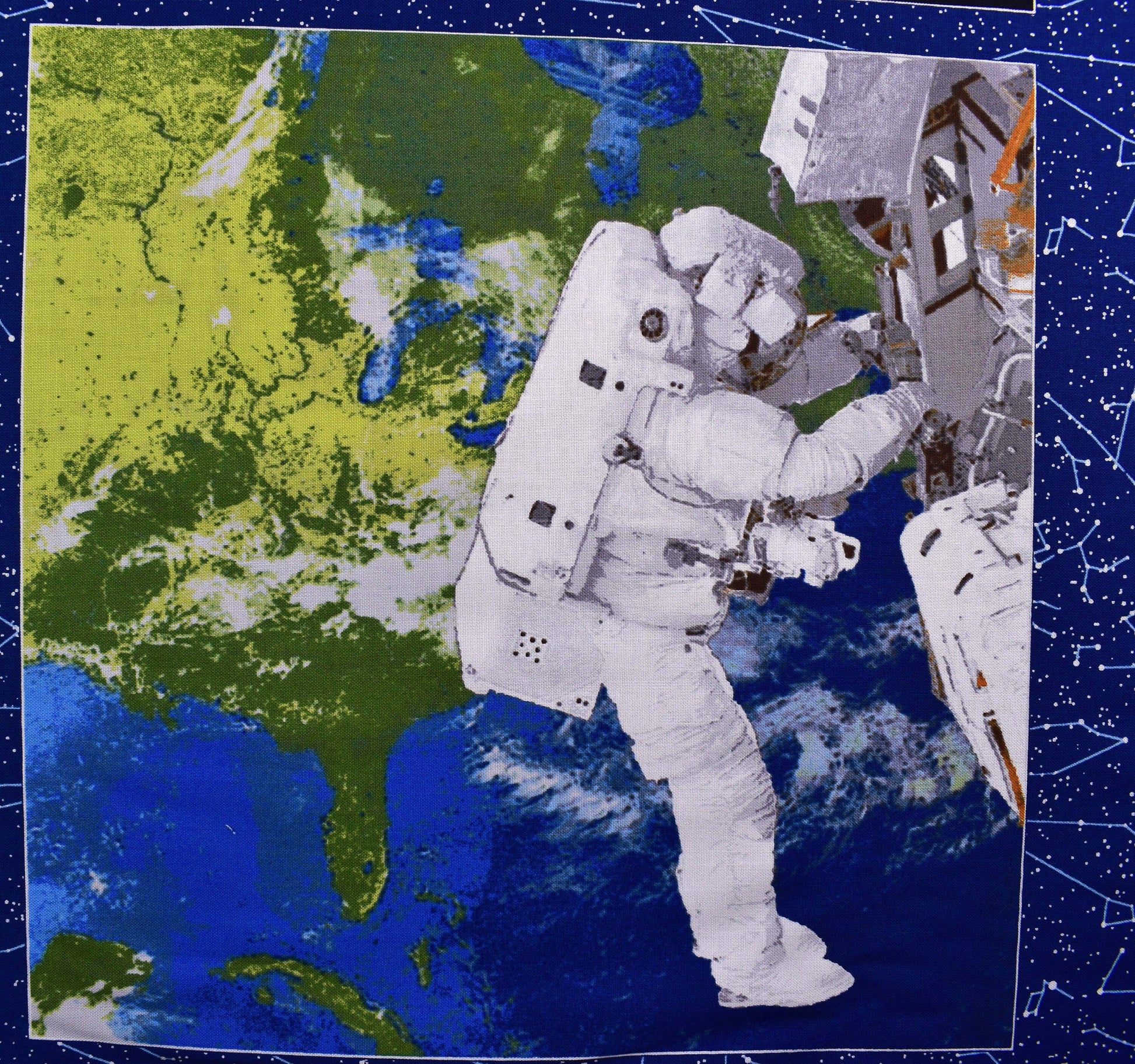 Space station fabric panel, quilting panel, Planetary Mission, Studio E The Quilt Sanctuary