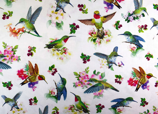 Hummingbird fabric , Quilting fabric, cotton fabric, Hummingbird Garden- Price by the Half Metre The Quilt Sanctuary
