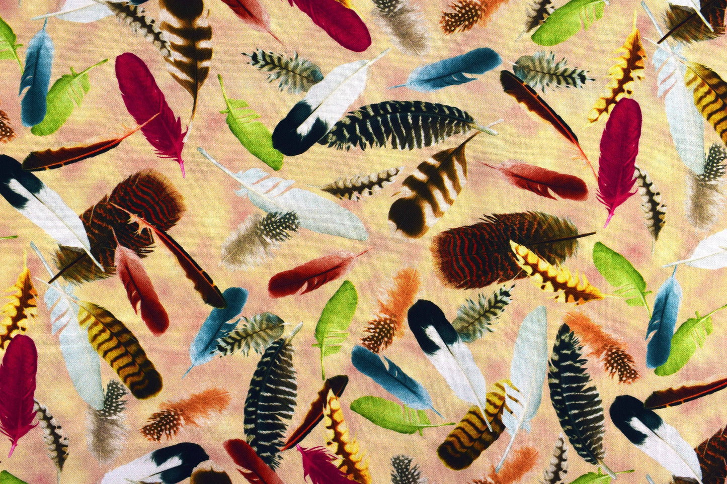Feathers fabric, bird feathers, Quilting fabric, cotton fabric, Hummingbird Garden - Price by the Half Metre The Quilt Sanctuary
