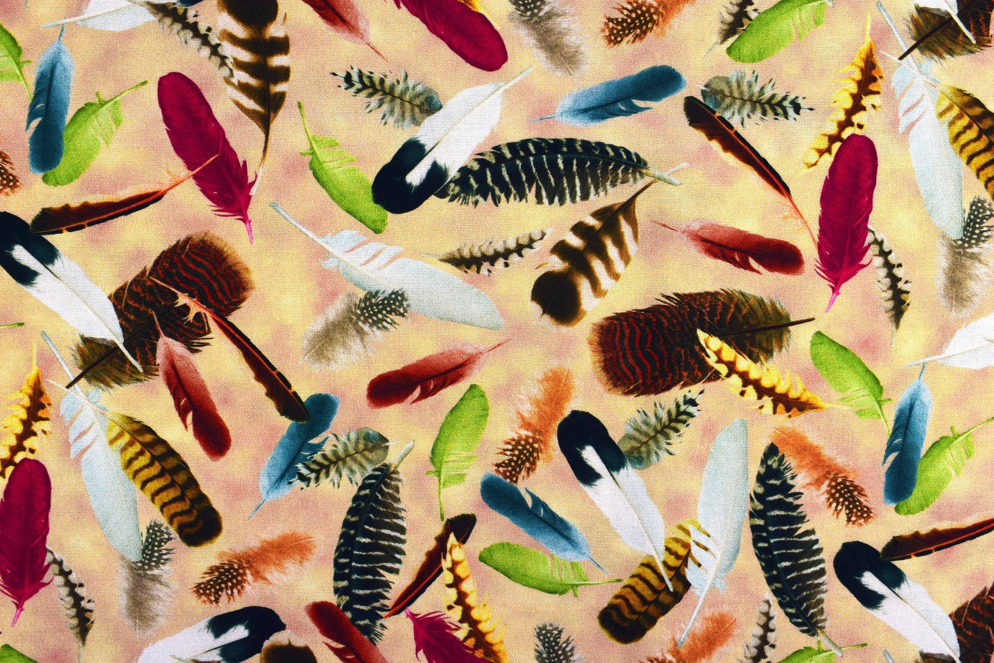 Feathers fabric, bird feathers, Quilting fabric, cotton fabric, Hummingbird Garden - Price by the Half Metre The Quilt Sanctuary