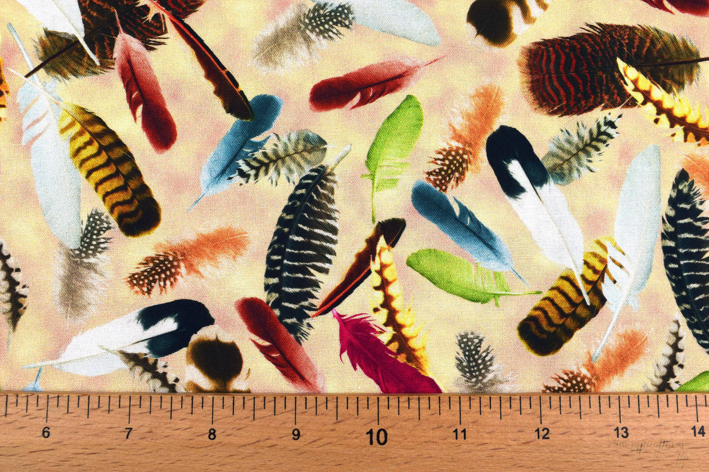 Feathers fabric, bird feathers, Quilting fabric, cotton fabric, Hummingbird Garden - Price by the Half Metre The Quilt Sanctuary